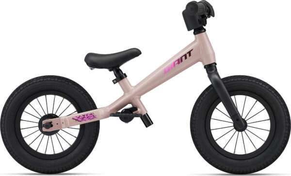 Giant pre push bike