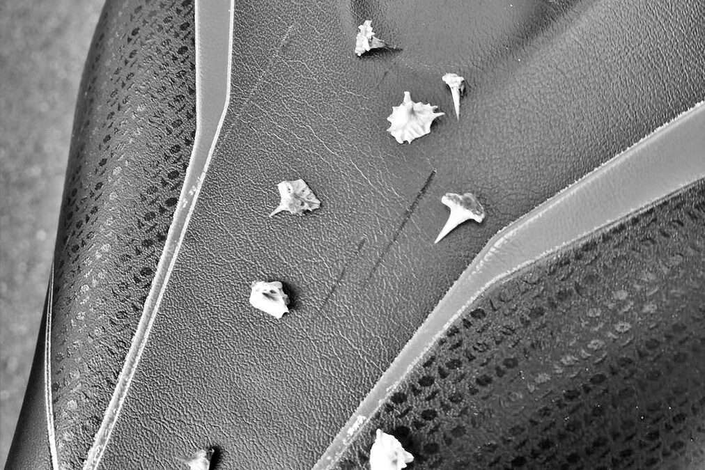 GUIDA Rapida alla Latticizzazione