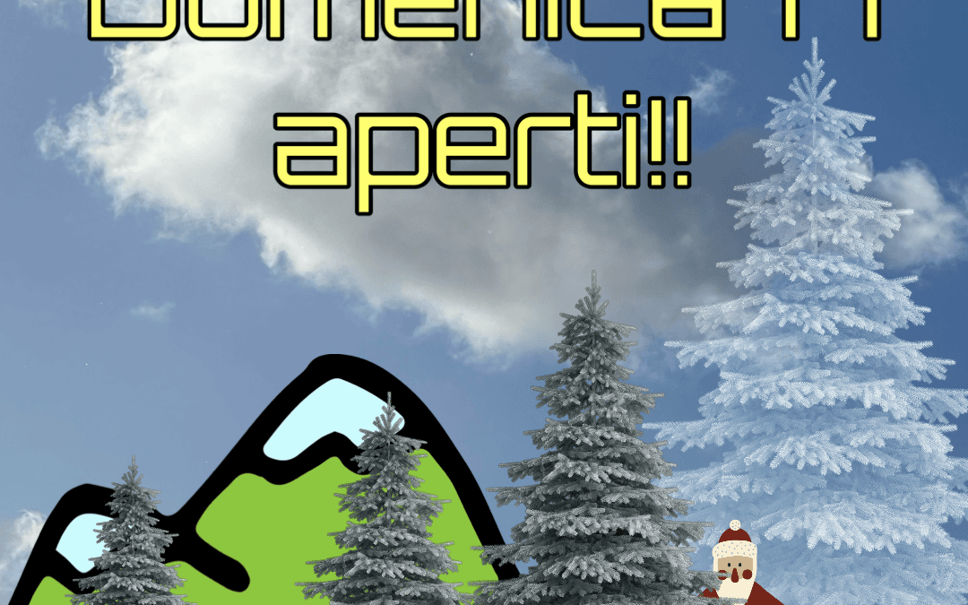 Domenica 17/12 aperti