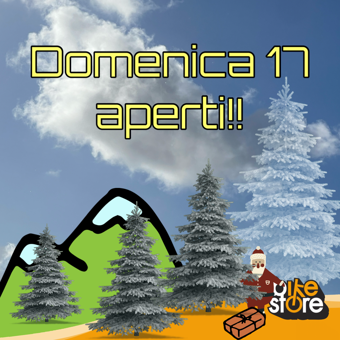 Domenica17
