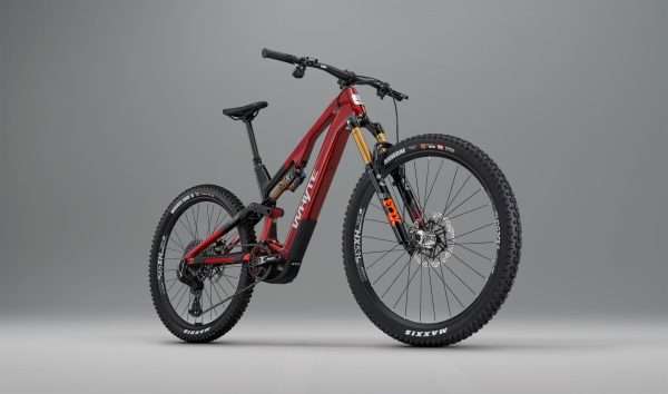 Whyte ELyte EVO Stag Works - immagine 2