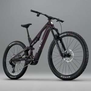 Whyte ELyte EVO RS CX