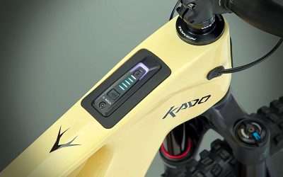 Perché Scegliere una Whyte Ebike? I 5 Motivi Chiave