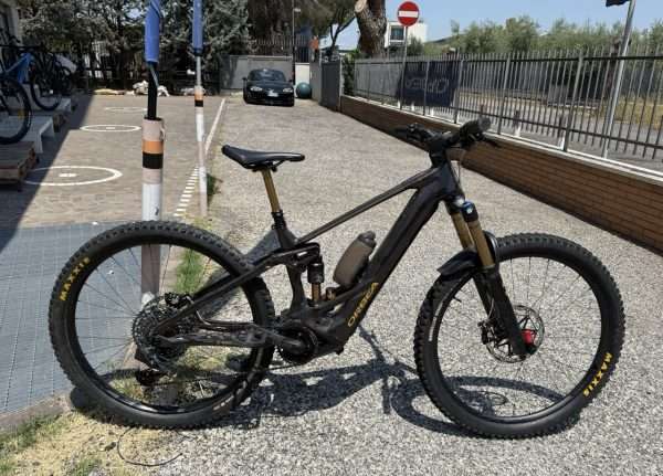 ORBEA WILD M-TEAM custom TG S