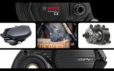 Scelta del motore Elettrico