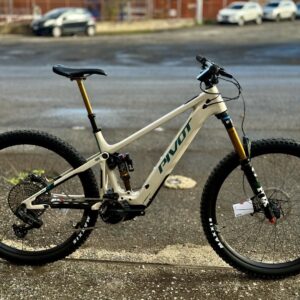 Pivot Shuttle AM Team XX Eagle tg L custom