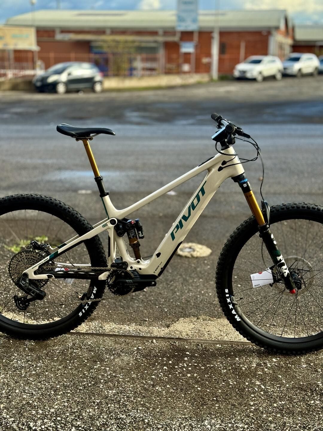 Pivot Shuttle AM Team XX Eagle tg L custom