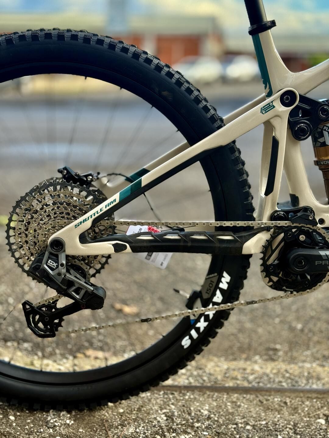 Pivot Shuttle AM Team XX Eagle tg L custom - immagine 2