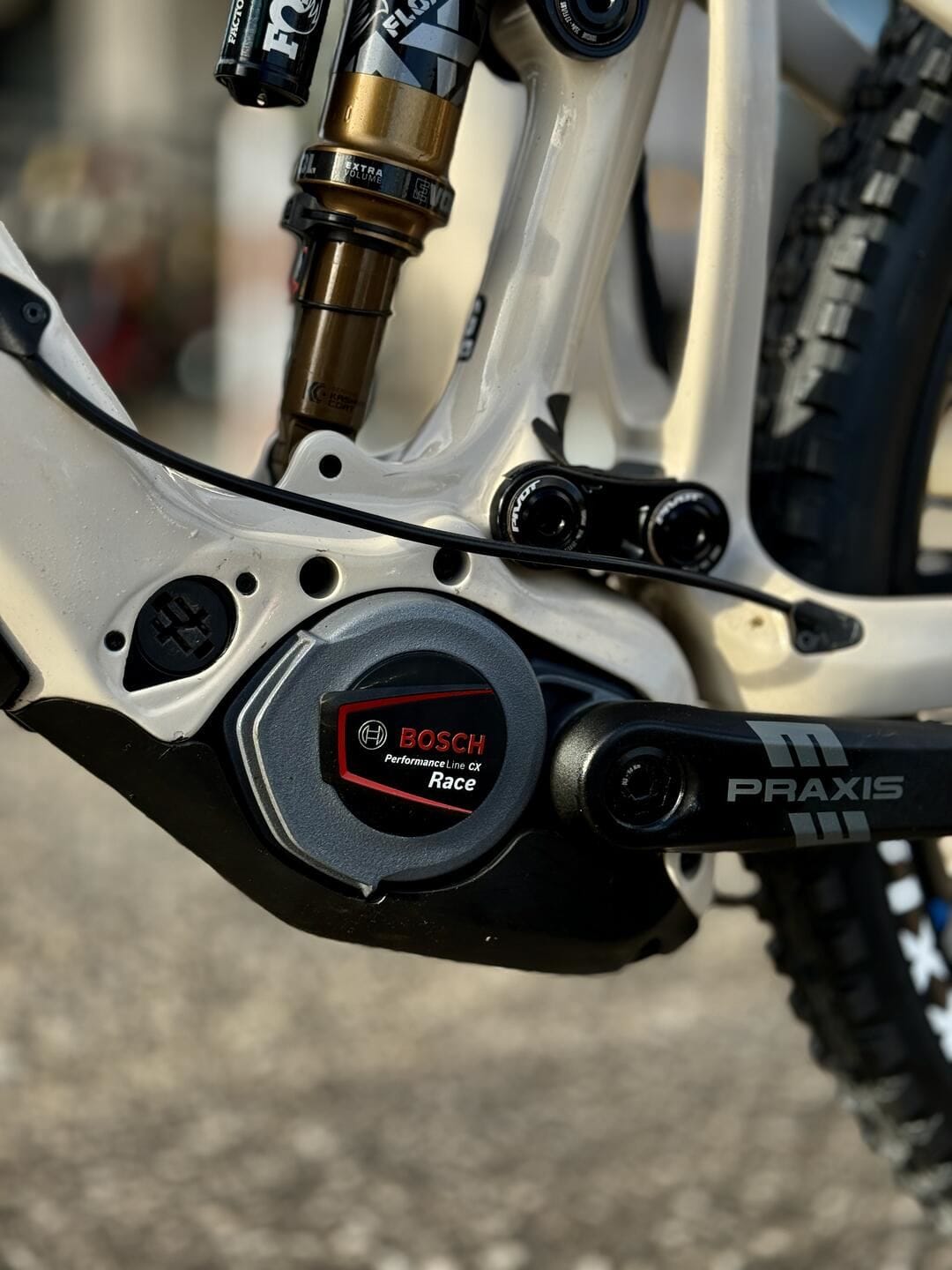 Pivot Shuttle AM Team XX Eagle tg L custom - immagine 4