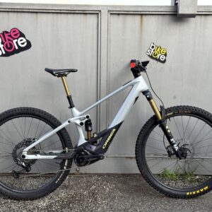 Orbea Wild M-LTD 2024 M